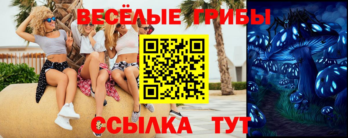 Галлюциногенные грибы MAGIC MUSHROOMS  Галлюциногенные грибы Cubensis  Вход с VPN  Корсаков 